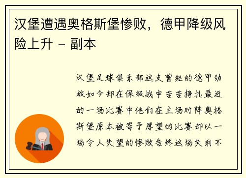 汉堡遭遇奥格斯堡惨败，德甲降级风险上升 - 副本